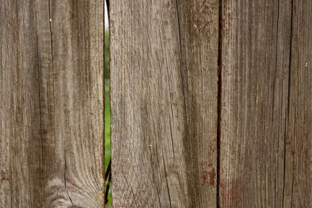 brown wood texture background, front view of a wooden Board.の写真素材
