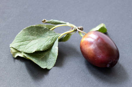 plum with leaves on a black background close upの写真素材