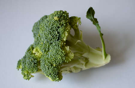 Fresh broccoli isolated on white backgroundの写真素材