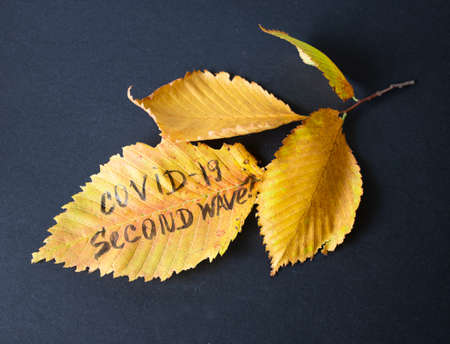 Concept on a black background of a faded autumn bouquet with the inscription covid -19 of the second wave.の写真素材