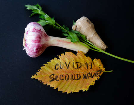 The concept of the second wave of COVID-19 virus infection from autumn leaves with the inscription and antiviral remedies.の写真素材