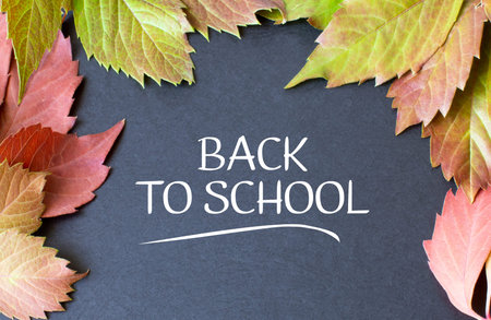 Autumn Postcard of colored falling leaves isolated on a black background. Distance learning.