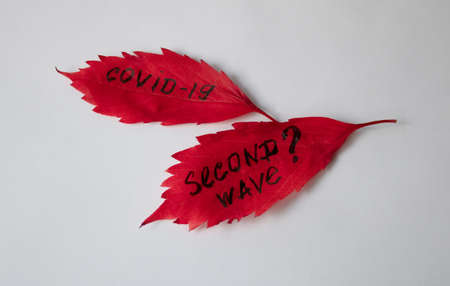 Autumn leaf with the inscription COVID-19 SECOND WAVE isolated on a white backgroundの写真素材