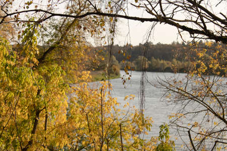 river in the park on an autumn day, the waters look brownish yellow, the reflection of autumn colors in the waterの写真素材