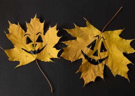 maple leaves and the concept of Halloween on a black backgroundの写真素材