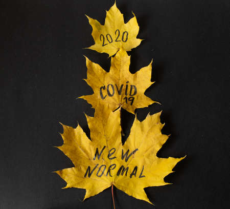 Autumn composition of maple leaves on a black background. The view from the top. the concept of Covid-19, the new reality of 2020の写真素材