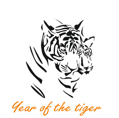 vector drawing of two silhouettes of tigers, the symbol of 2022 on a white backgroundの写真素材
