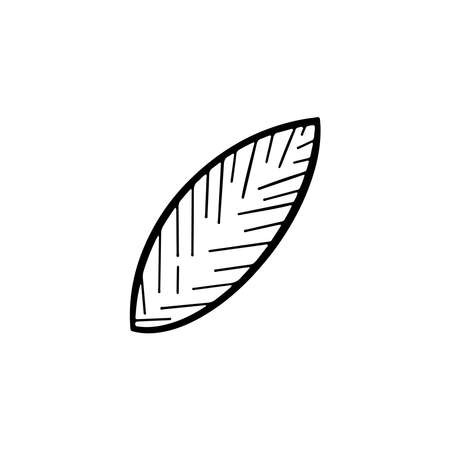 Isolated leaf element in doodle style on white background for beauty design and postcard decoration.のイラスト素材