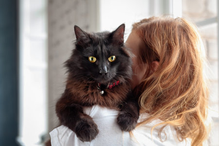 Cute domestic with yellow eyes black cat sitting on woman's shoulder at home