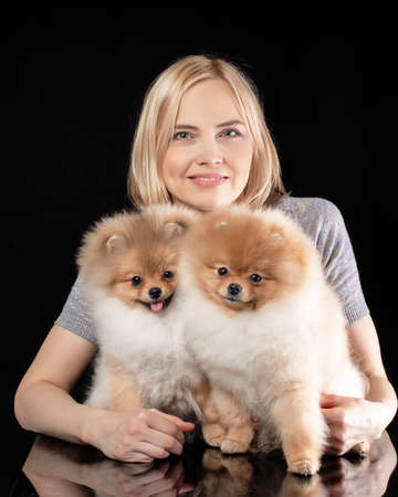 Smiling pretty woman holding two cute puppies of pomeranian spitz breed dog. Owner with her friends pets at black background.の写真素材