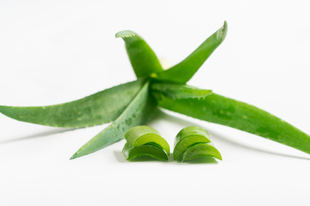 Aloe cosmetics. natural cosmetics. Aloe syringe.の写真素材