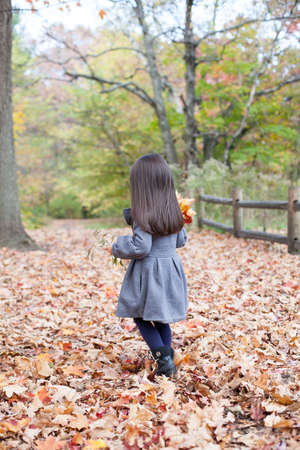 Little pretty girl with autumn leaves in an autumn parkの写真素材