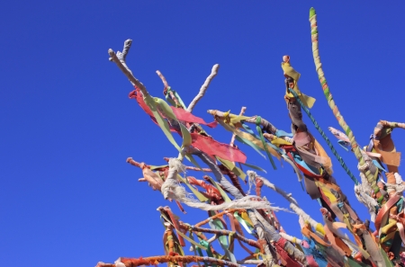 Colorful ribbons and scraps on wishes treeの写真素材