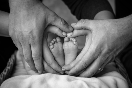 black and white photo of  legs of a newborn child and hands of parents in the shape of heartの写真素材