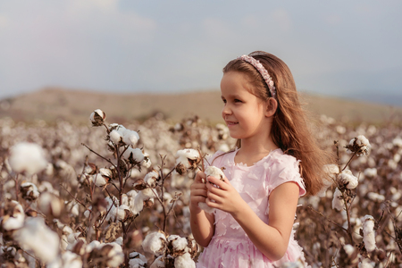 Beautiful little girl with long hair and in pink dress in cotton field.の写真素材