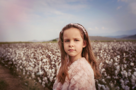Beautiful little girl with long hair and in pink dress in cotton field.の写真素材
