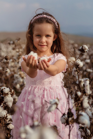 Beautiful little girl with long hair and in pink dress in cotton field.focus on model faceの写真素材