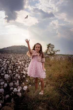 Beautiful little girl with long hair and in pink dress in cotton field.の写真素材