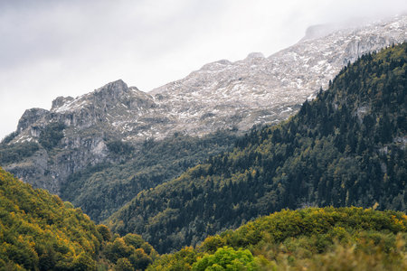 High mountain slopes covered with dense green and yellow forest in early autumn season.の写真素材