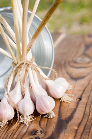 Beam of garlic against bucket on wood の写真素材