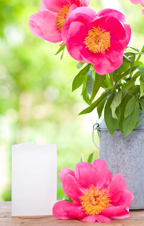 Pink peonies in metal vase and empty card for letterの写真素材