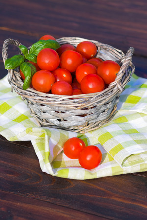 Tomatoes with basil in basket outdoorsの写真素材