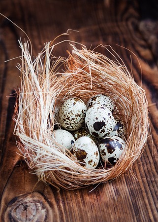 Quail eggs in nest on rustic wooden backgroundの写真素材