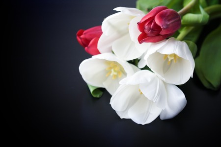 Bouquet of tulips on black backgroundの写真素材