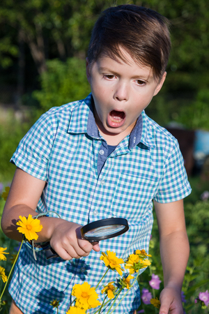 Shocked boy with magnifying glass in gardenの写真素材