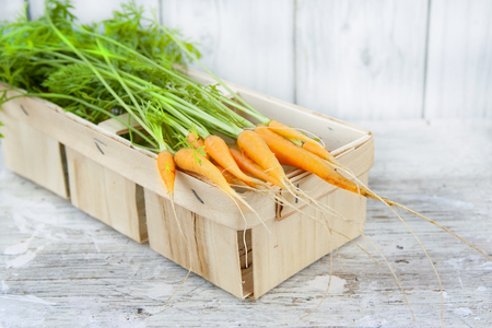 Baby carrot on wooden table in summerの写真素材