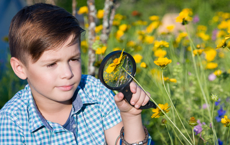 Boy with magnifying glass in summer gardenの写真素材