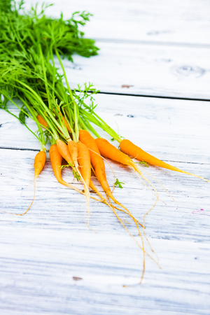 Baby carrot on wooden table in summerの写真素材
