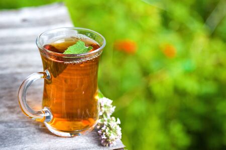 Fresh tasty hot tea with melissa outdoor in summer. Medicine healthyの写真素材