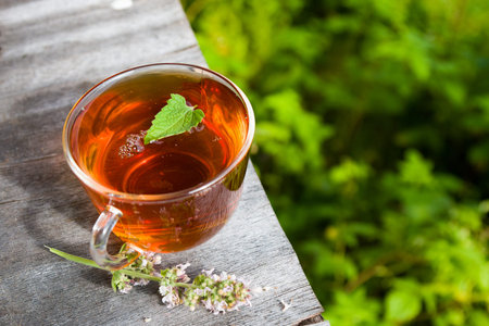 Fresh tasty hot tea with melissa outdoor in summer. Medicine healthy