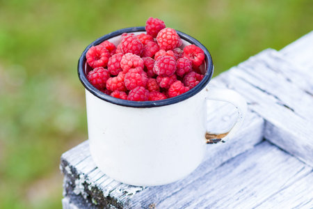Raspberries in white metal cup in summer day