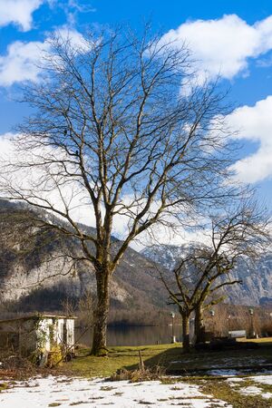 Spring in village Hallstatt. Non-tourist landscape.   old European architecture.の写真素材