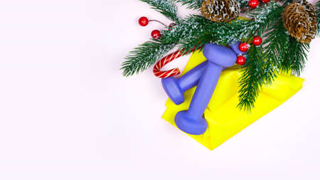 Holiday fitness. Healthy and active lifestyles greeting card concept. Purple dumbbells, yellow rubber band, candy and fir-treeの写真素材
