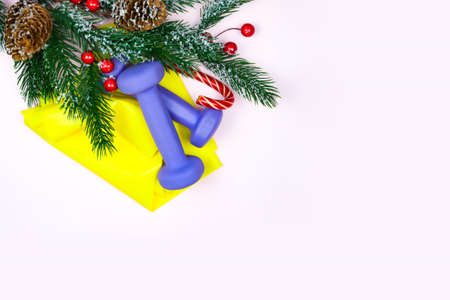 Christmas fitness. Healthy and active lifestyles greeting card concept. Purple dumbbells, yellow rubber band, candy and fir-tree on pinkの写真素材
