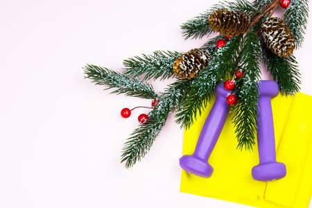 Christmas fitness. Healthy and active lifestyles greeting card concept. Purple dummbbells, yellow ruubber band, candy and fir-tree on pinkの写真素材