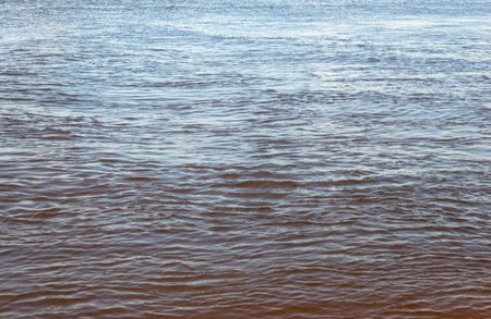 The textured surface of the water in the lake. Can be used as a background for text.