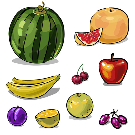 Set of fruit with watermelon and grapefruit hand-drawn isolated on a white backgroundのイラスト素材