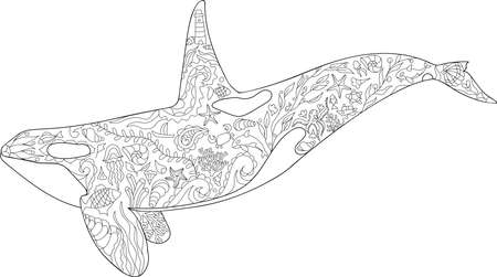 Killer whale coloring page vector illustration,  animal outline, Sea animal ornament corals and shellsのイラスト素材