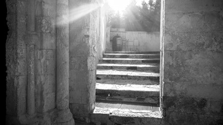 The sun rays are coming into the shadowの写真素材