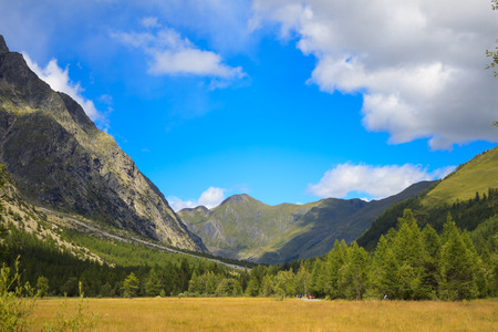 Sun and shadow in high Italian mountainsの写真素材