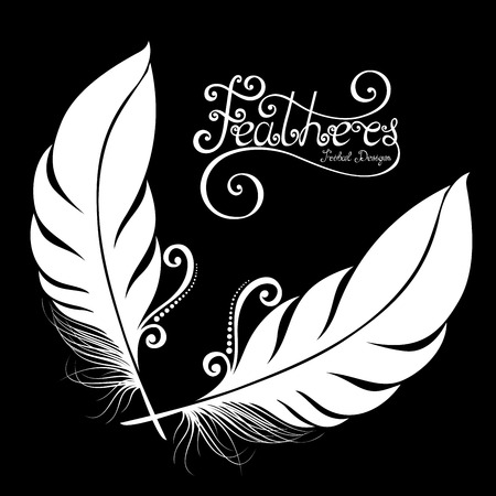 Vector Peerless Decorative Feather, Tribal design, Tattooのイラスト素材