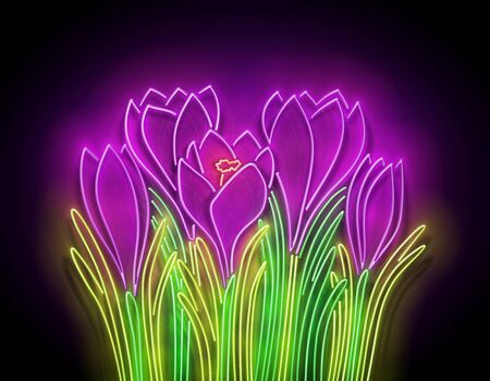 Glow Bouquet of Crocuses. Greeting Card Template with  Spring Flowers. Shiny Neon Light Poster, Flyer, Banner, Postcard. Glossy Background. Vector 3d Illustrationのイラスト素材