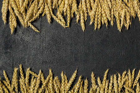 agriculture wheat spread on dark background, copy spaceの写真素材