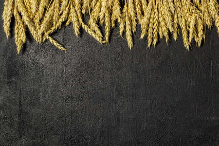 agriculture wheat spread on dark background, copy spaceの写真素材