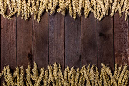arrangement of wheat ears on the table for design with copy spaceの写真素材