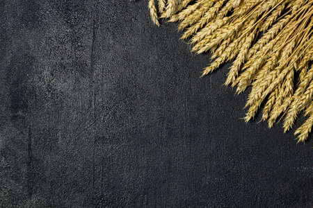 agriculture wheat spread on dark background, copy spaceの写真素材